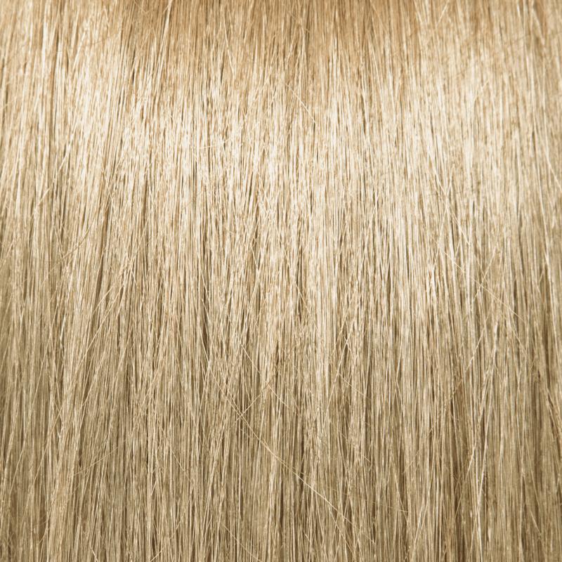 Pravana shade β 10N Extra Light Blonde.png at Artistic Trendz Dubai