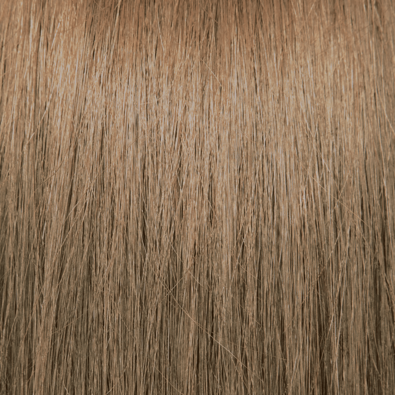 Pravana shade β 8N Light Blonde at Artistic Trendz Dubai
